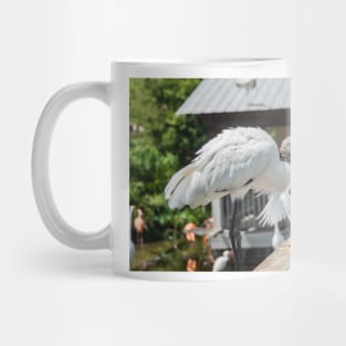 Wood stork of Gatorland Mug